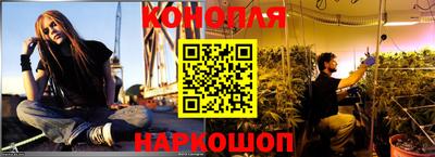 прущие крисы Кимры