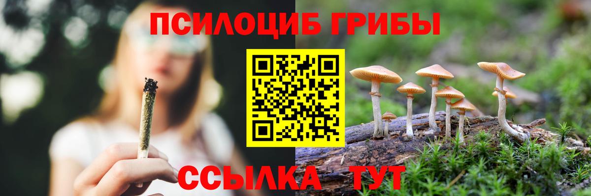 Галлюциногенные грибы мицелий Каспийск